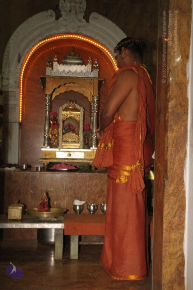 20120510_Photo_1004_IMG_6714_CMP_WM