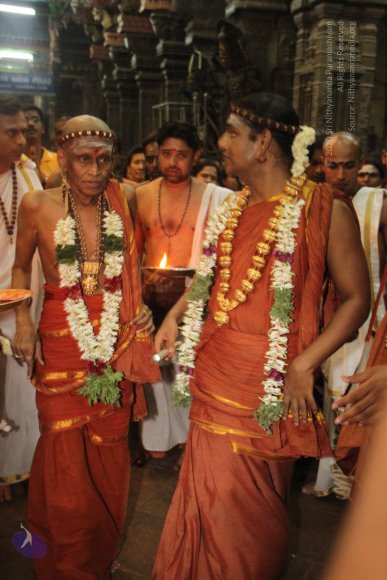 20120510_Photo_1010_IMG_7273_CMP_WM