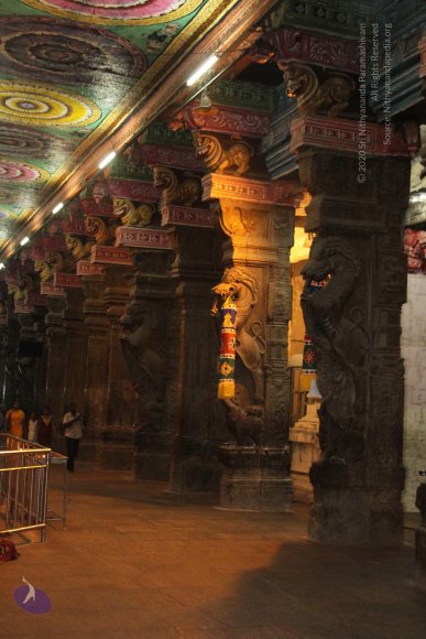 20120510_Photo_1011_IMG_7244_CMP_WM