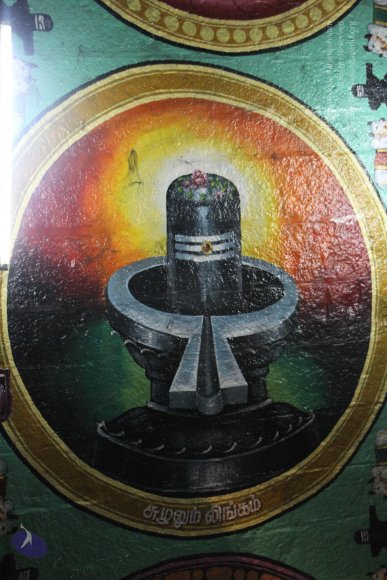 20120510_Photo_1013_IMG_7249_CMP_WM