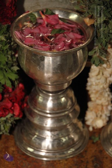 20120510_Photo_1001_IMG_7430_CMP_WM