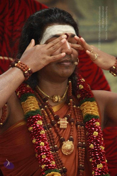 20121007_Photo_1033_IMG_9958_CMP_WM