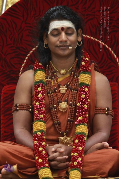 20121007_Photo_1043_IMG_9973_CMP_WM