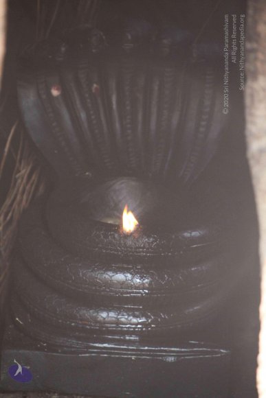 20121022_Photo_1004_IMG_6062_CMP_WM