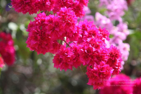 20121022_Photo_1005_IMG_6093_CMP_WM