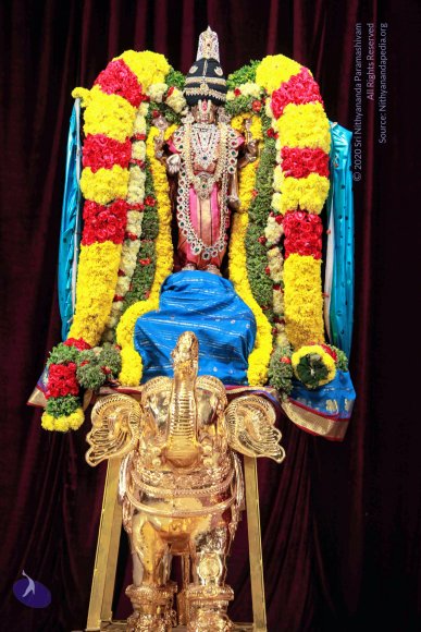 20121022_Photo_1000_IMG_6012_CMP_WM