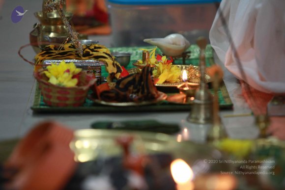 20121022_Photo_1001_IMG_6029_CMP_WM