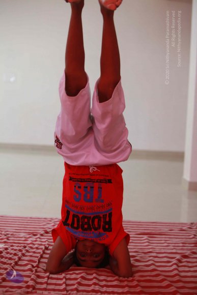 20121022_Photo_1001_IMG_6124_CMP_WM