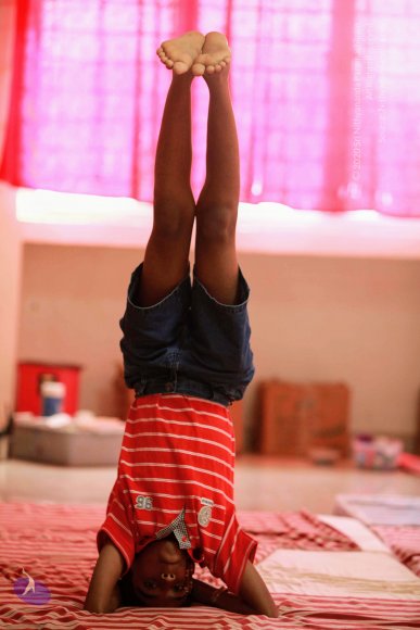 20121022_Photo_1002_IMG_6128_CMP_WM