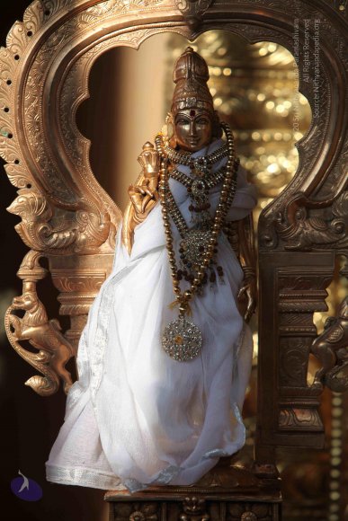 01-TEMPLE_Photo_1003_IMG_6883_CMP_WM