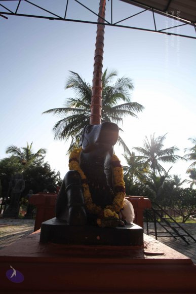 01-TEMPLE_Photo_1006_IMG_6910_CMP_WM