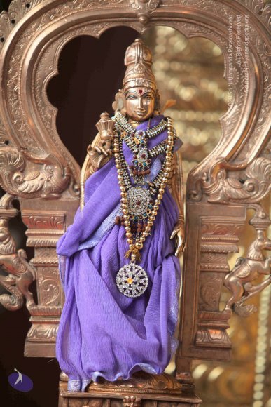 20121026_Photo_1002_IMG_7243_CMP_WM