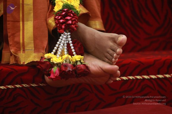 4-Introduction-Session_Photo_1012_IMG_0036_CMP_WM