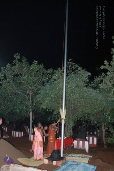 20121015_Photo_1017_IMG_3861_CMP_WM