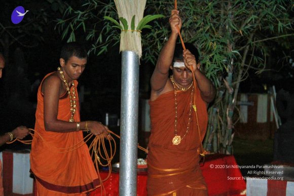 20121015_Photo_1018_IMG_3866_CMP_WM