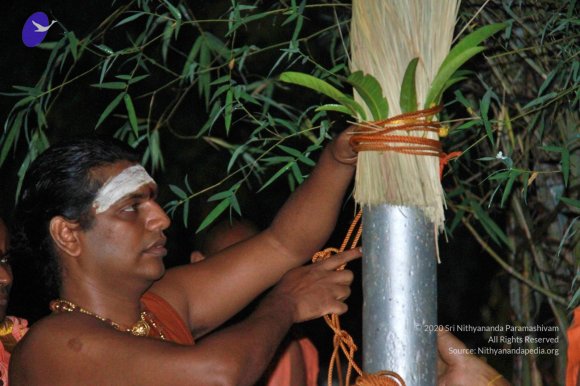 20121015_Photo_1022_IMG_3872_CMP_WM