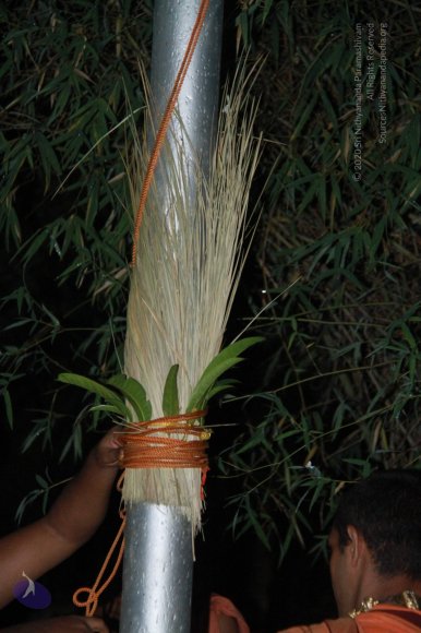 20121015_Photo_1023_IMG_3873_CMP_WM