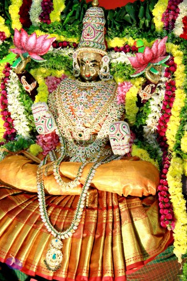 06-Navaratri_Photo_1000_IMG_4935_CMP_WM