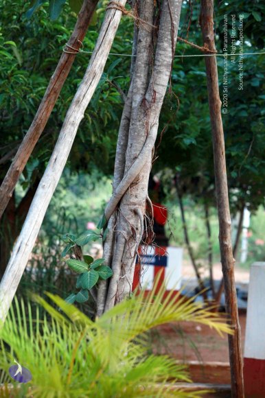 1-Temple_Photo_1000_IMG_4271_CMP_WM