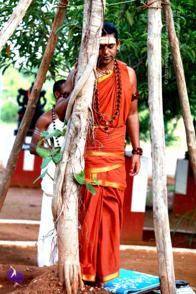 1-Temple_Photo_1001_IMG_4272_CMP_WM