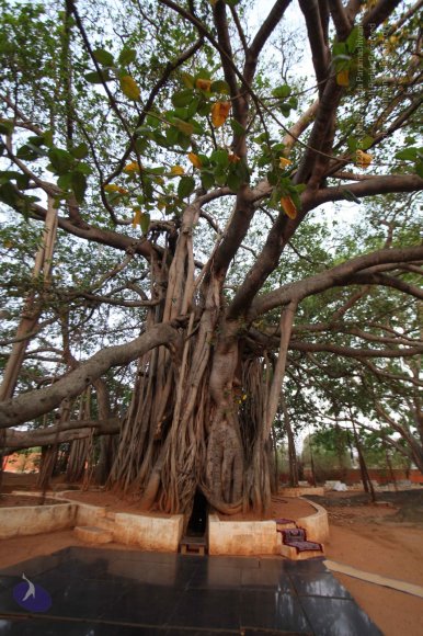 20130412_Photo_1000_IMG_3762_CMP_WM