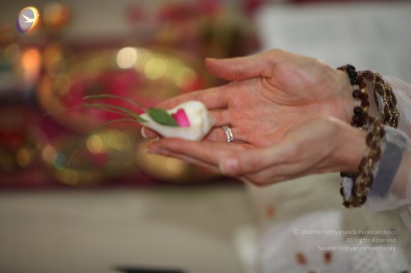 20130412_Photo_1007_IMG_3854_CMP_WM