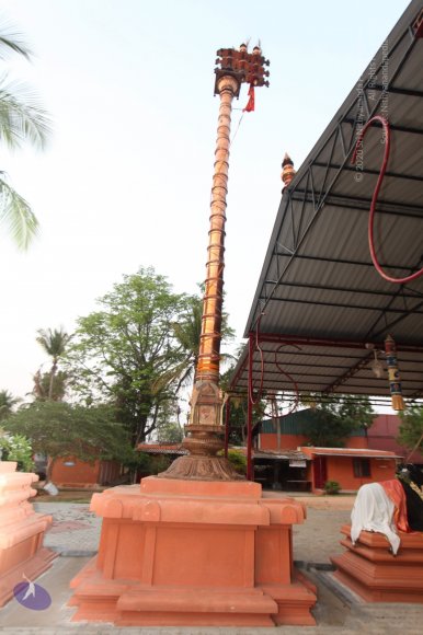 20130412_Photo_1000_IMG_3735_CMP_WM