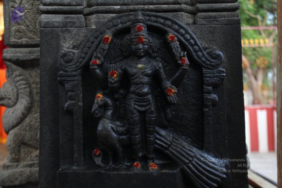 20130412_Photo_1005_IMG_3747_CMP_WM