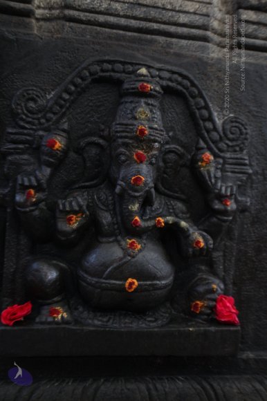 20130412_Photo_1007_IMG_3751_CMP_WM