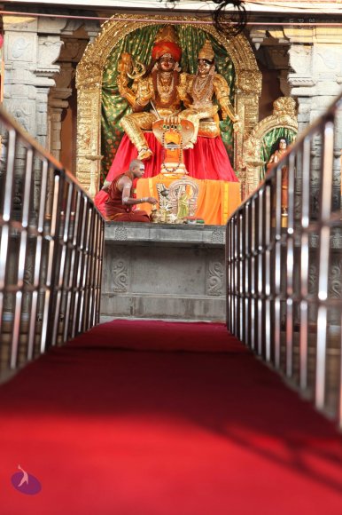 20130412_Photo_1016_IMG_3826_CMP_WM