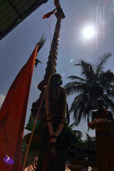 20130414_Photo_1012_IMG_5477_CMP_WM