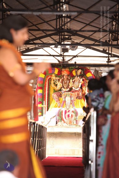 201304AF_Photo_1001_IMG_5137_CMP_WM