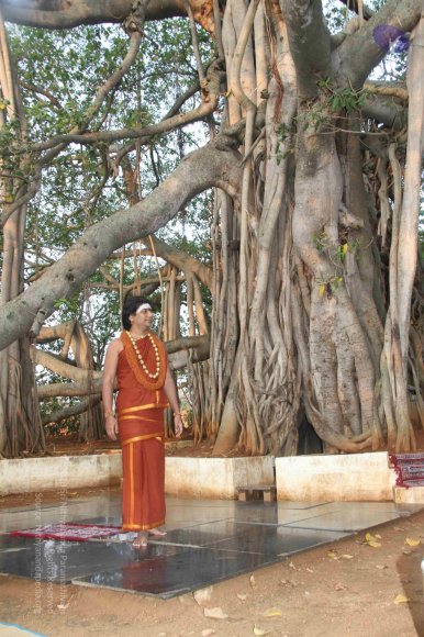 20130401_Photo_1010_IMG_3612_CMP_WM