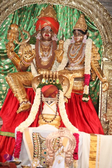 Satsang_Photo_1002_IMG_3334_CMP_WM