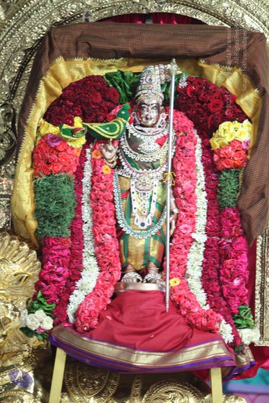 20130414_Photo_1089_IMG_4739_CMP_WM