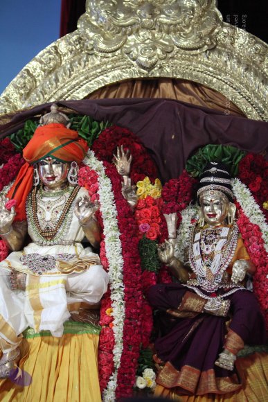 20130414_Photo_1095_IMG_4754_CMP_WM