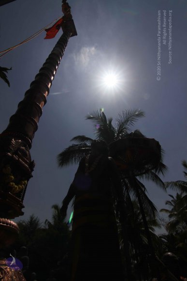 20130414_Photo_1134_IMG_5464_CMP_WM