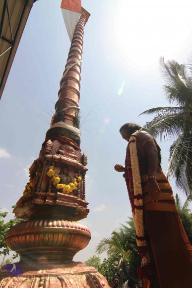 20130414_Photo_1175_IMG_5545_CMP_WM