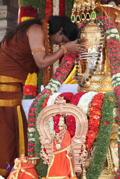 3-Dhwajarohanam_Photo_1033_IMG_5092_CMP_WM(1)