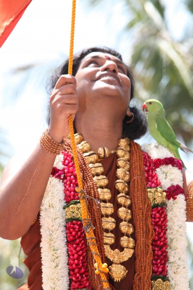 3-Dhwajarohanam_Photo_1109_IMG_5228_CMP_WM