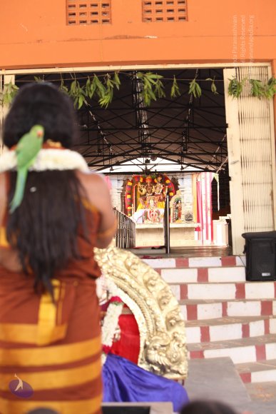 3-Dhwajarohanam_Photo_1277_IMG_5417_CMP_WM