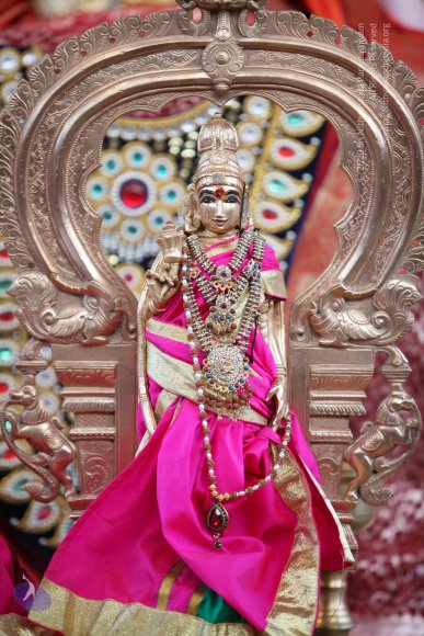 00--TempleTour-MM-DTA-SarvaDarshan-6.45AM-9.20AM_Photo_1002_IMG_6496_CMP_WM