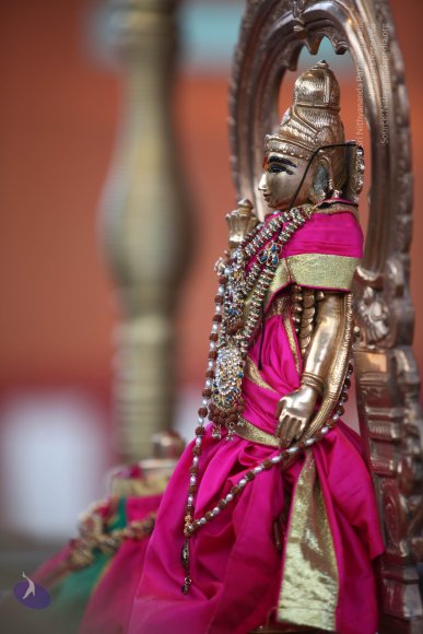 00--TempleTour-MM-DTA-SarvaDarshan-6.45AM-9.20AM_Photo_1009_IMG_6514_CMP_WM