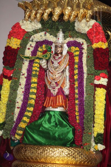 00--TempleTour-MM-DTA-SarvaDarshan-6.45AM-9.20AM_Photo_1030_IMG_6558_CMP_WM