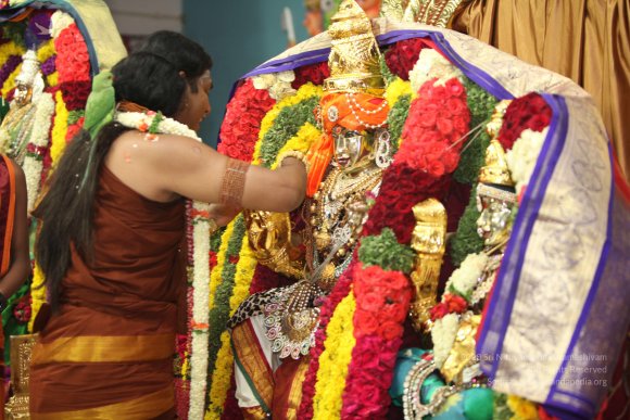 20130423_Photo_1139_IMG_9188_CMP_WM