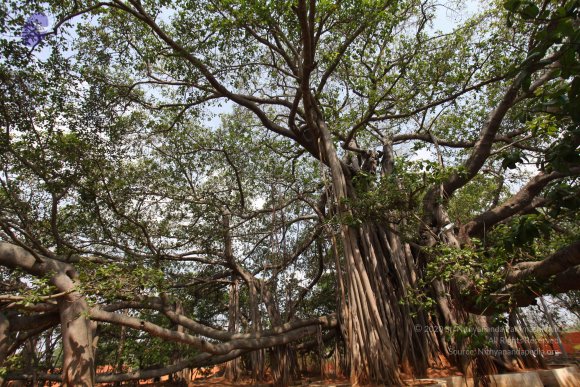 20130426_Photo_1007_IMG_9552_CMP_WM