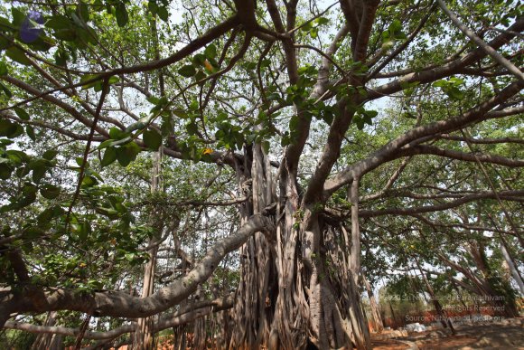 20130426_Photo_1015_IMG_9556_CMP_WM