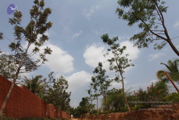 20130426_Photo_1001_IMG_9526_CMP_WM