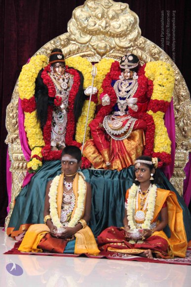 20130813_Photo_1000_IMG_8400_CMP_WM