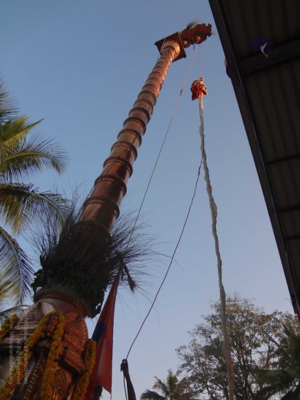 20131218_Photo_1005_20131218_DSC0657201